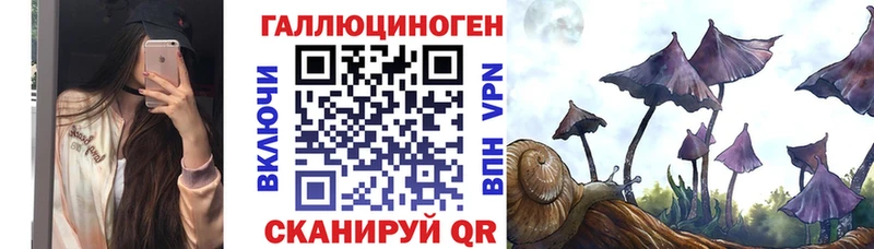 Галлюциногенные грибы Cubensis  Купить закладки  Сортавала 